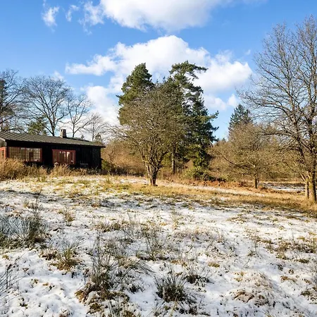 In Torring With Wifi * Tørring